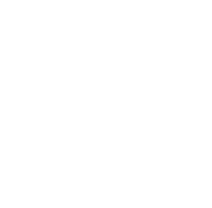 +20,000 daily processes, 100+ customers