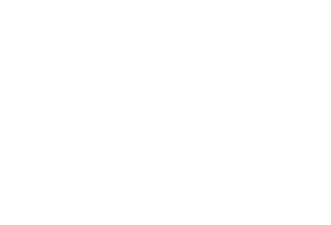 afa försäkring logo