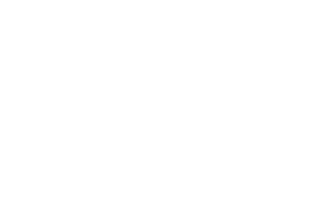 dsv logo