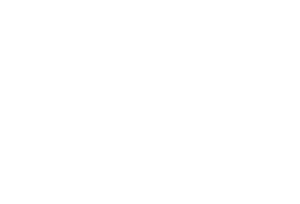 dtu logo