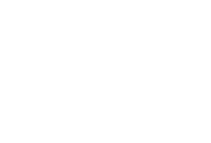 SDC logo