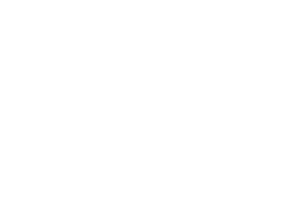 sparekassen Denmark logo