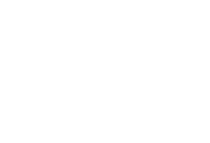 bankdata logo